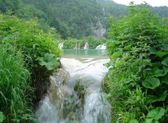 Fonds d'cran Nature Lacs de Plitvice