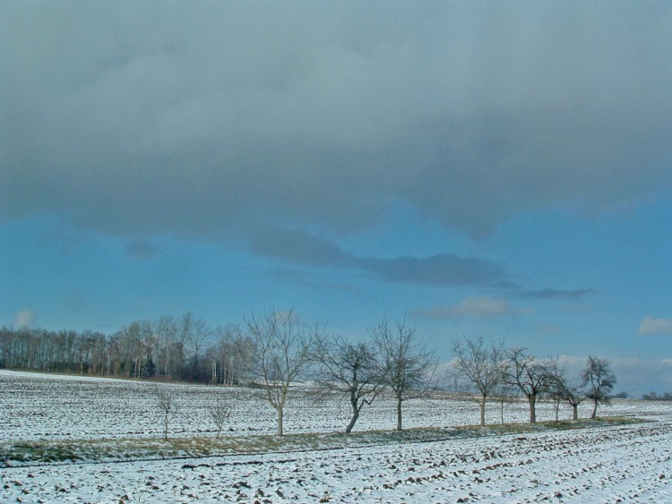 Fonds d'cran Nature Saisons - Hiver Difficile perce du soleil...