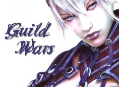 Fonds d'cran Jeux Vido GuildWars