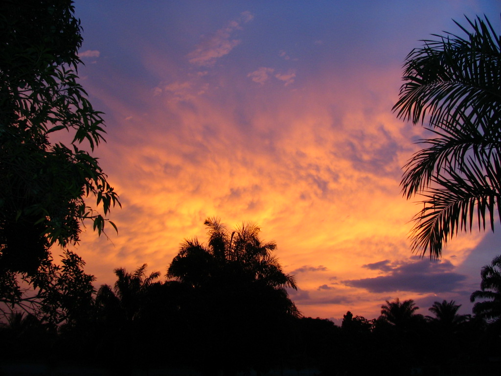 Fonds d'cran Nature Couchers et levers de Soleil coucher de soleil africain