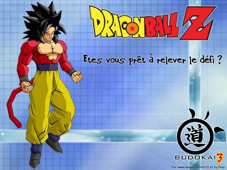 Wallpapers Manga Dragon Ball Z BUDOKAI POWAAA