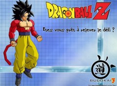 Wallpapers Manga BUDOKAI POWAAA