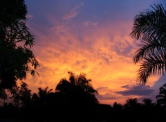 Fonds d'cran Nature coucher de soleil africain