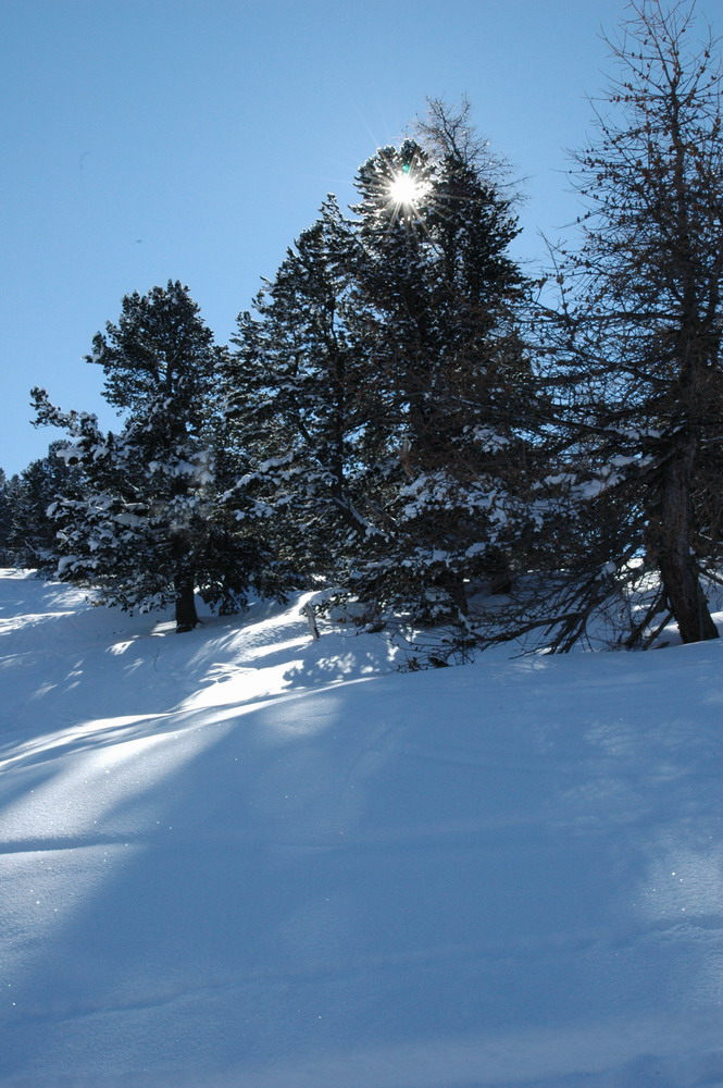 Fonds d'cran Nature Saisons - Hiver le monde est beau