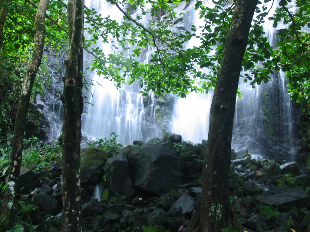 Wallpapers Nature Trees - Forests Ste Rose - le de la Runion - Anse des Cascades