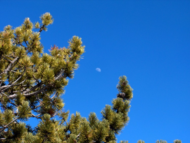 Fonds d'cran Nature Ciel - Nuages petite lune