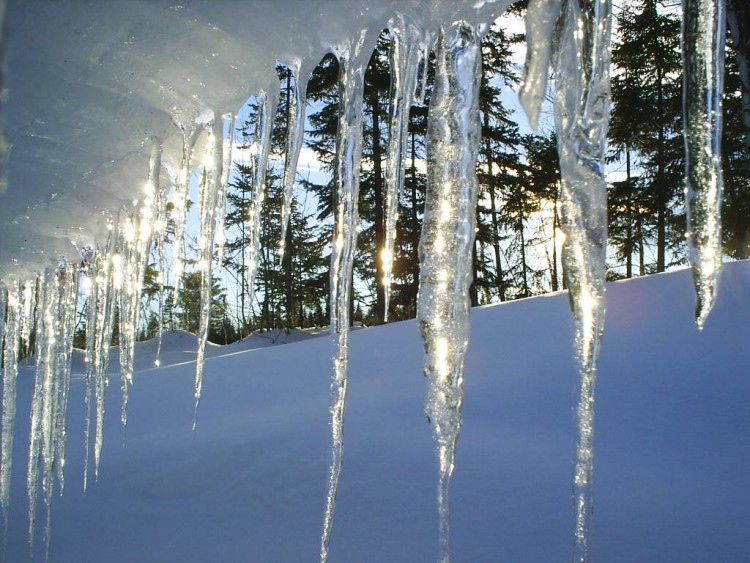 Fonds d'cran Nature Saisons - Hiver Printemps