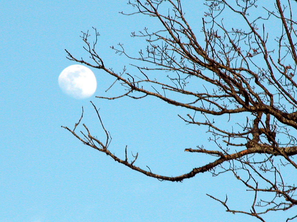 Fonds d'cran Nature Ciel - Nuages Moon Ball