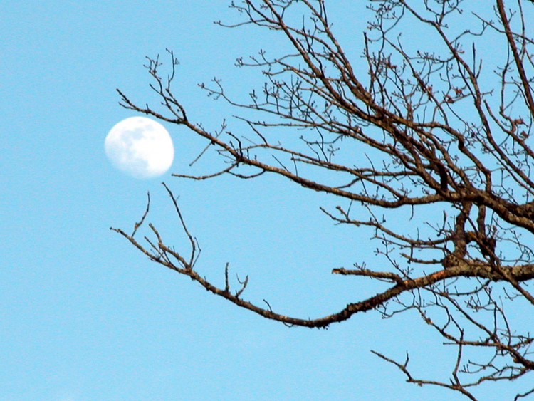 Fonds d'cran Nature Ciel - Nuages Moon Ball