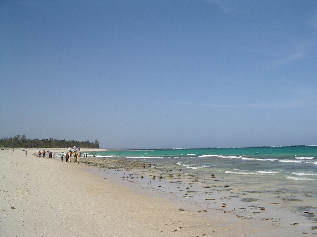 Wallpapers Nature Seas - Oceans - Beaches L'ocan Indien, fin janvier 2005