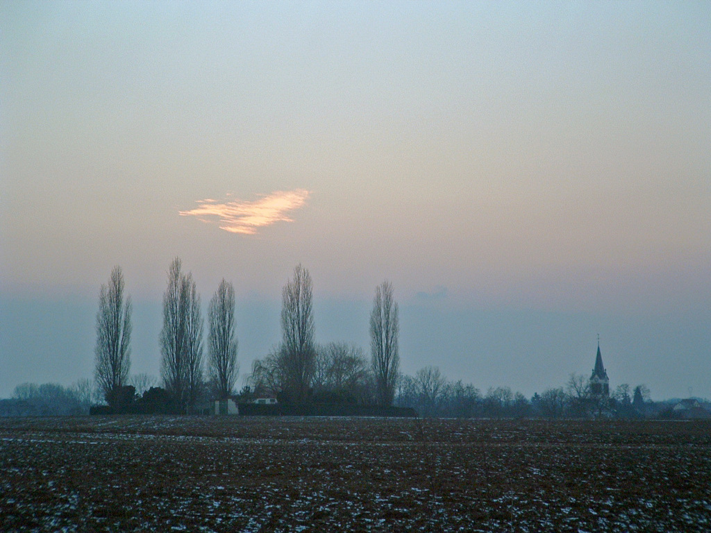 Fonds d'cran Nature Ciel - Nuages Un oiseau avion dans le ciel...