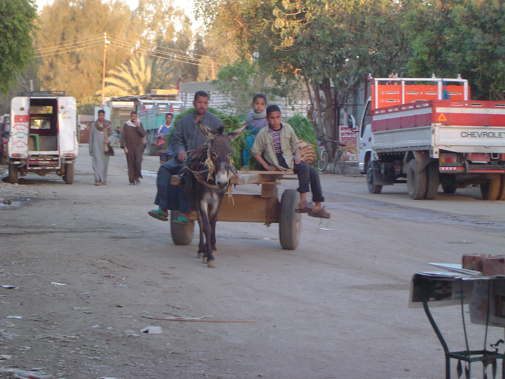 Fonds d'cran Voyages : Afrique Egypte Rue de Bahariya