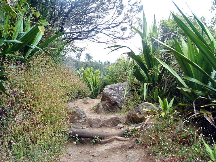 Fonds d'cran Voyages : Afrique La Runion Ile de la Reunion