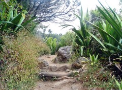 Fonds d'cran Voyages : Afrique Ile de la Reunion