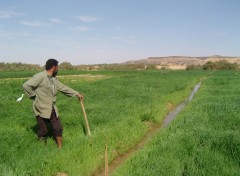 Fonds d'cran Hommes - Evnements Abadalah arrose son jardin