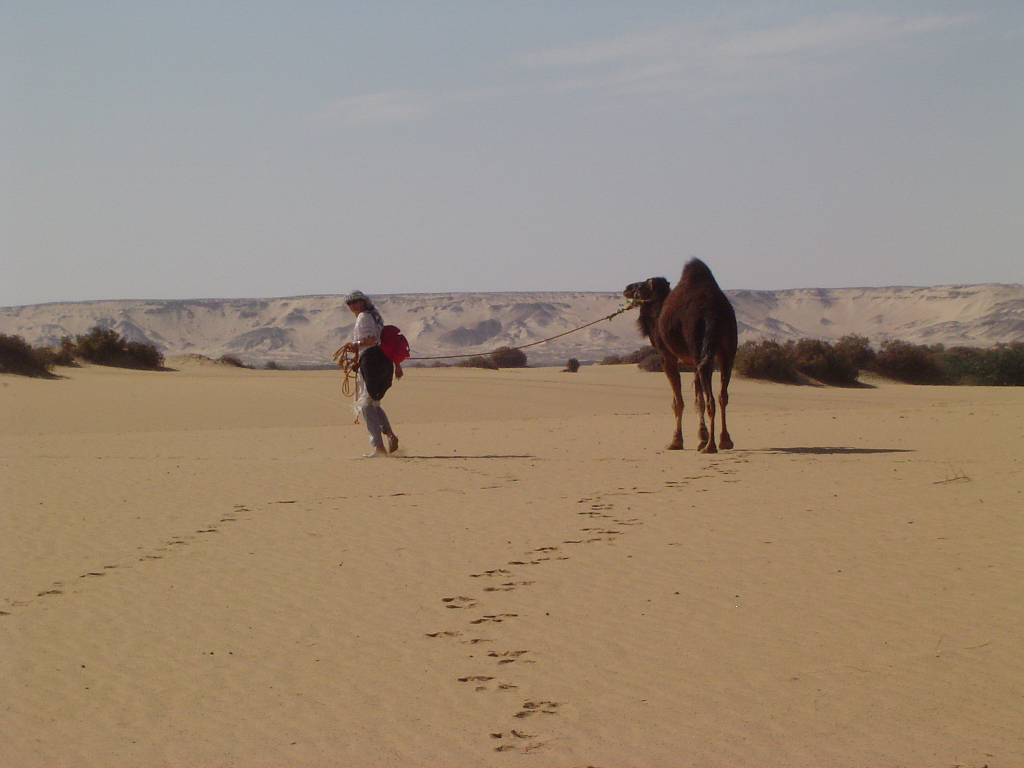 Wallpapers Nature Deserts Nadette et sa chamelle Leila