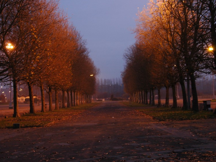 Fonds d'cran Nature Saisons - Automne alle d arbres