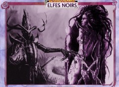 Fonds d'cran Fantasy et Science Fiction Malekith et Morathi