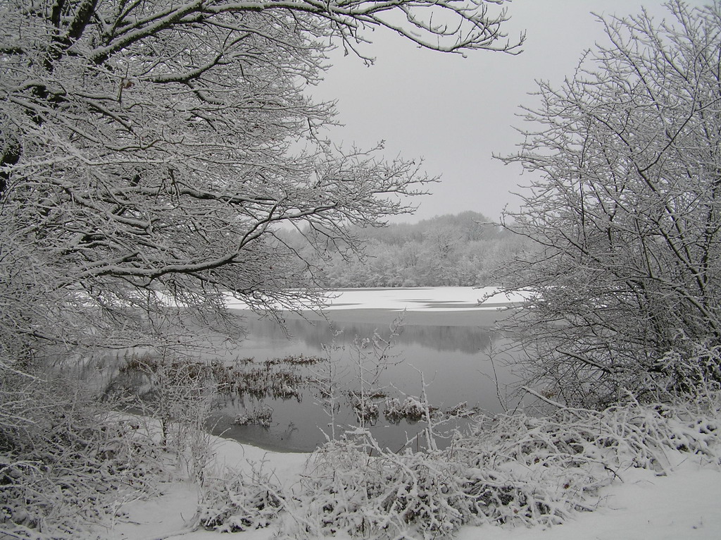 Fonds d'cran Nature Saisons - Hiver 