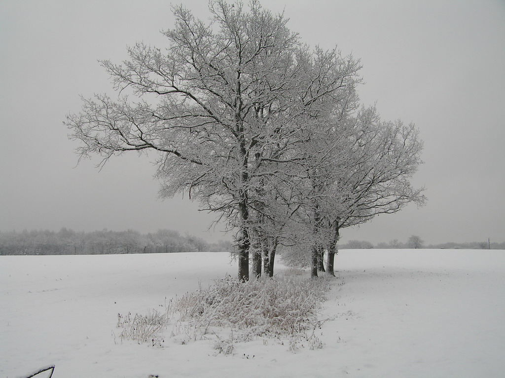 Wallpapers Nature Saisons - Winter 