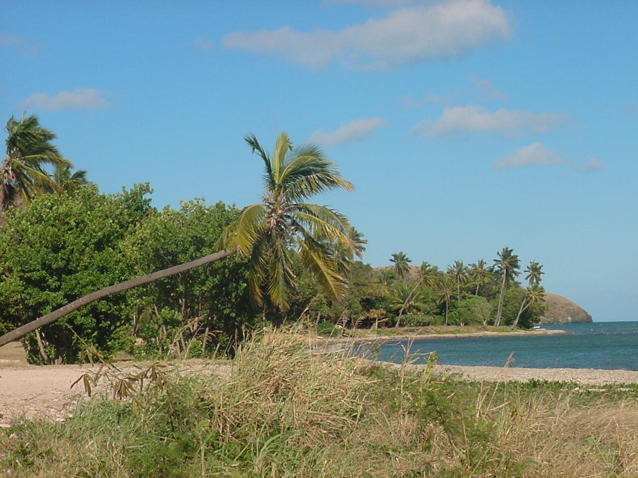 Wallpapers Trips : Oceania New Caledonia La Pointe Nord de l'le