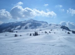 Fonds d'cran Nature Steinplatte