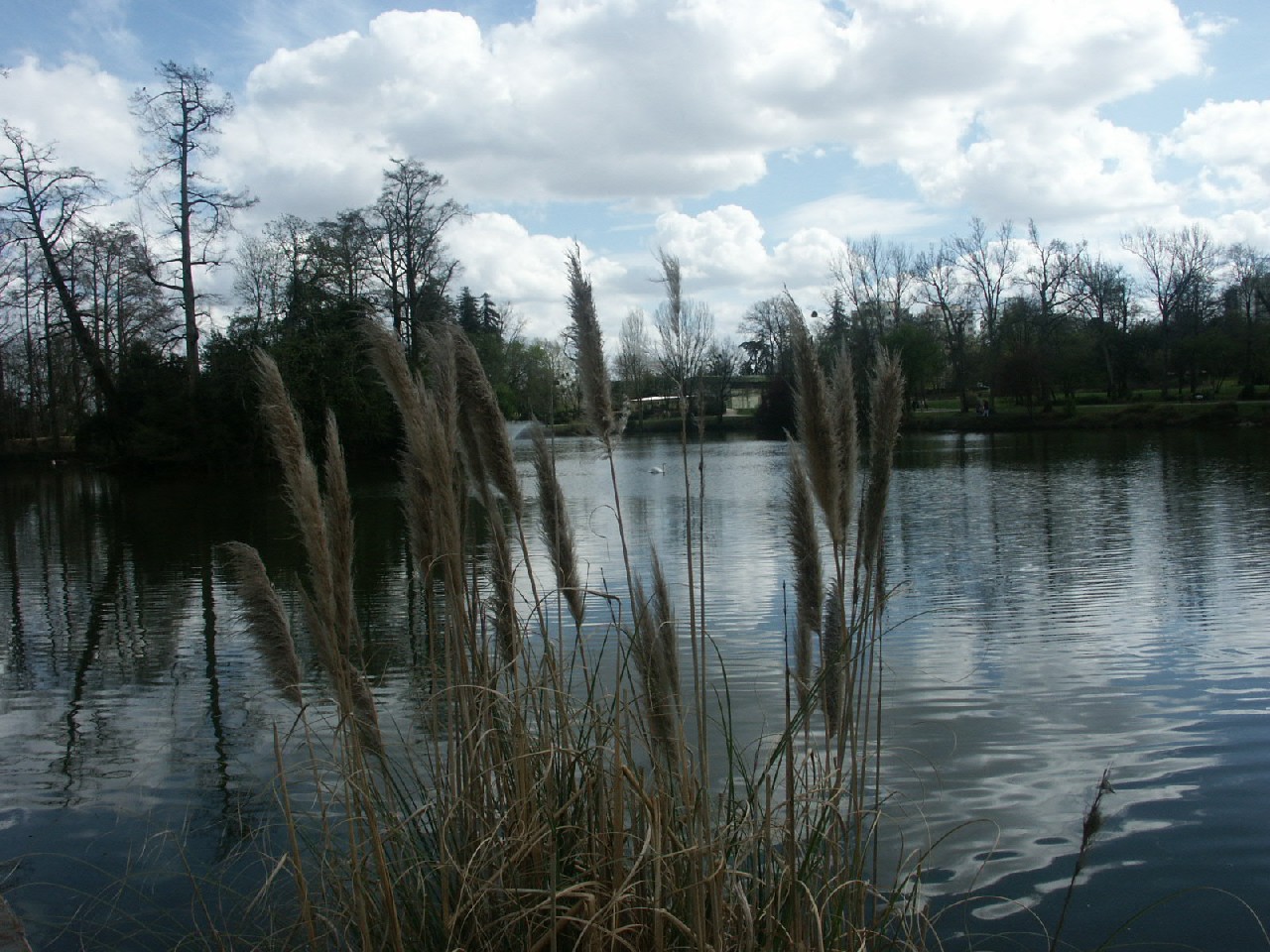 Fonds d'cran Nature Couchers et levers de Soleil lacs du parc Bouran (33)