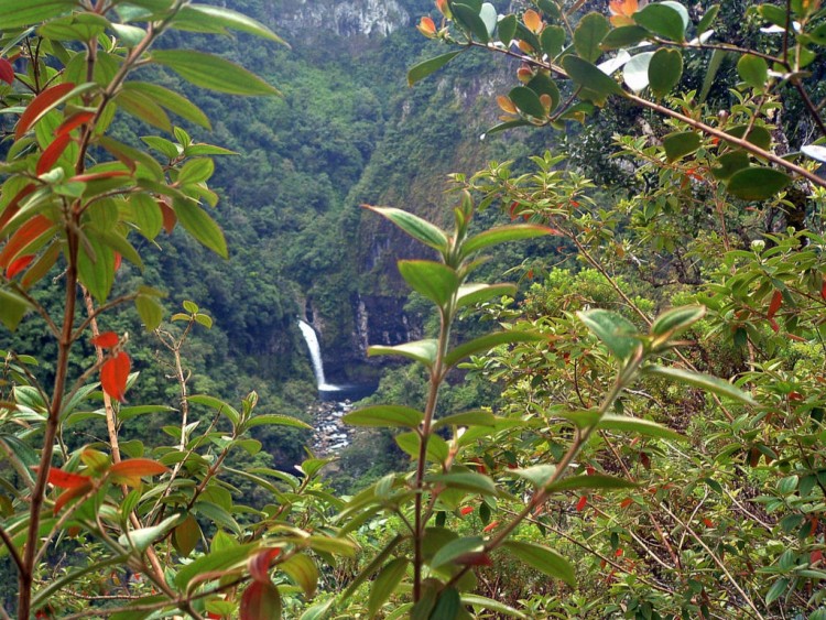 Fonds d'cran Voyages : Afrique La Runion Ile de la Runion