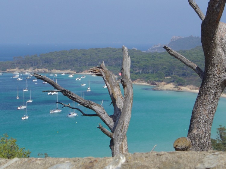 Fonds d'cran Nature Mers - Ocans - Plages vue de hyeres