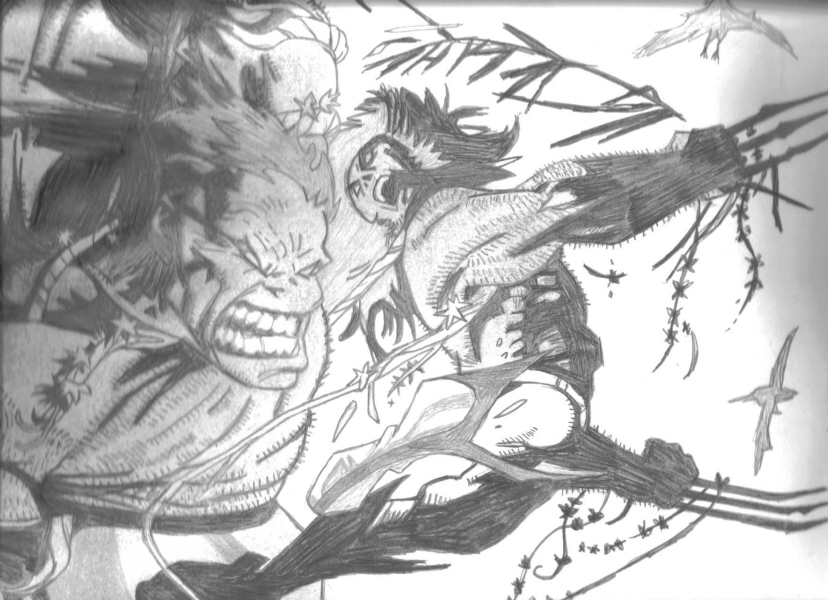 Fonds d'cran Art - Crayon BDs - Comics wolverine vs hulk