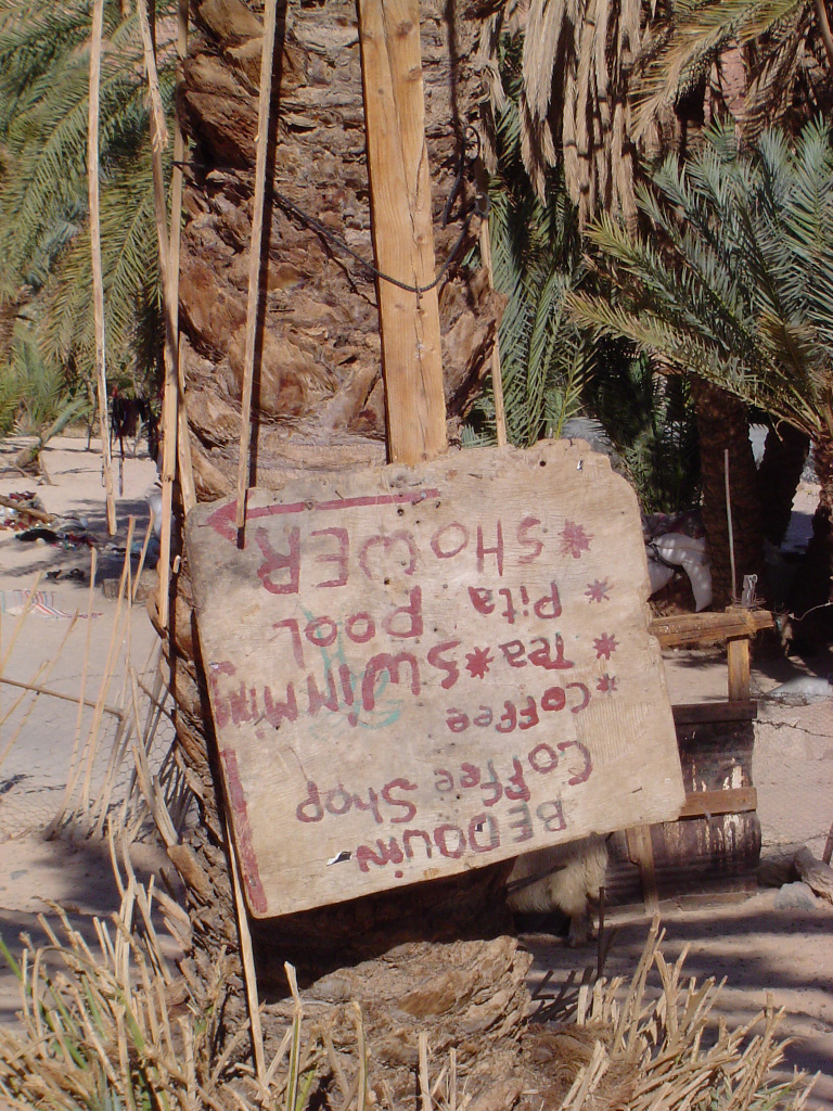 Fonds d'cran Voyages : Afrique Egypte oasis de Ain Hubra, Sinai Egypte