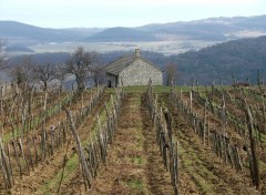 Fonds d'cran Nature The Solitary House