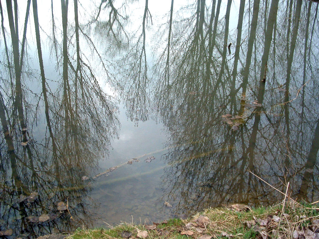 Fonds d'cran Nature Eau - Reflets Reflet aquatique..