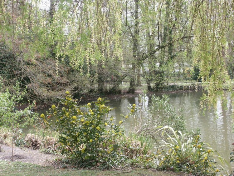 Fonds d'cran Nature Lacs - Etangs Autour du lac au parc Bouran