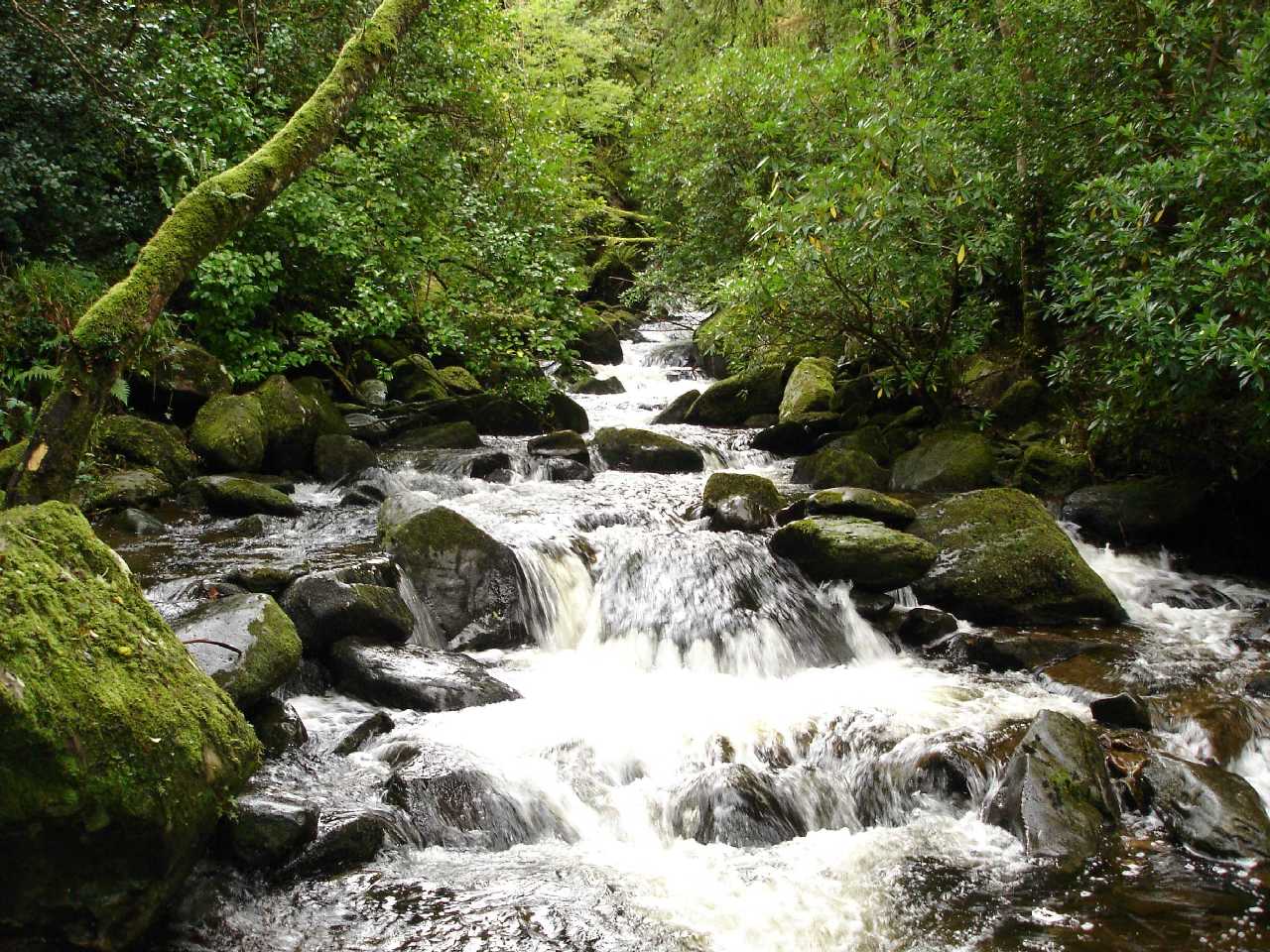 Fonds d'cran Nature Cascades - Chutes Torc Waterfall (Irlande)