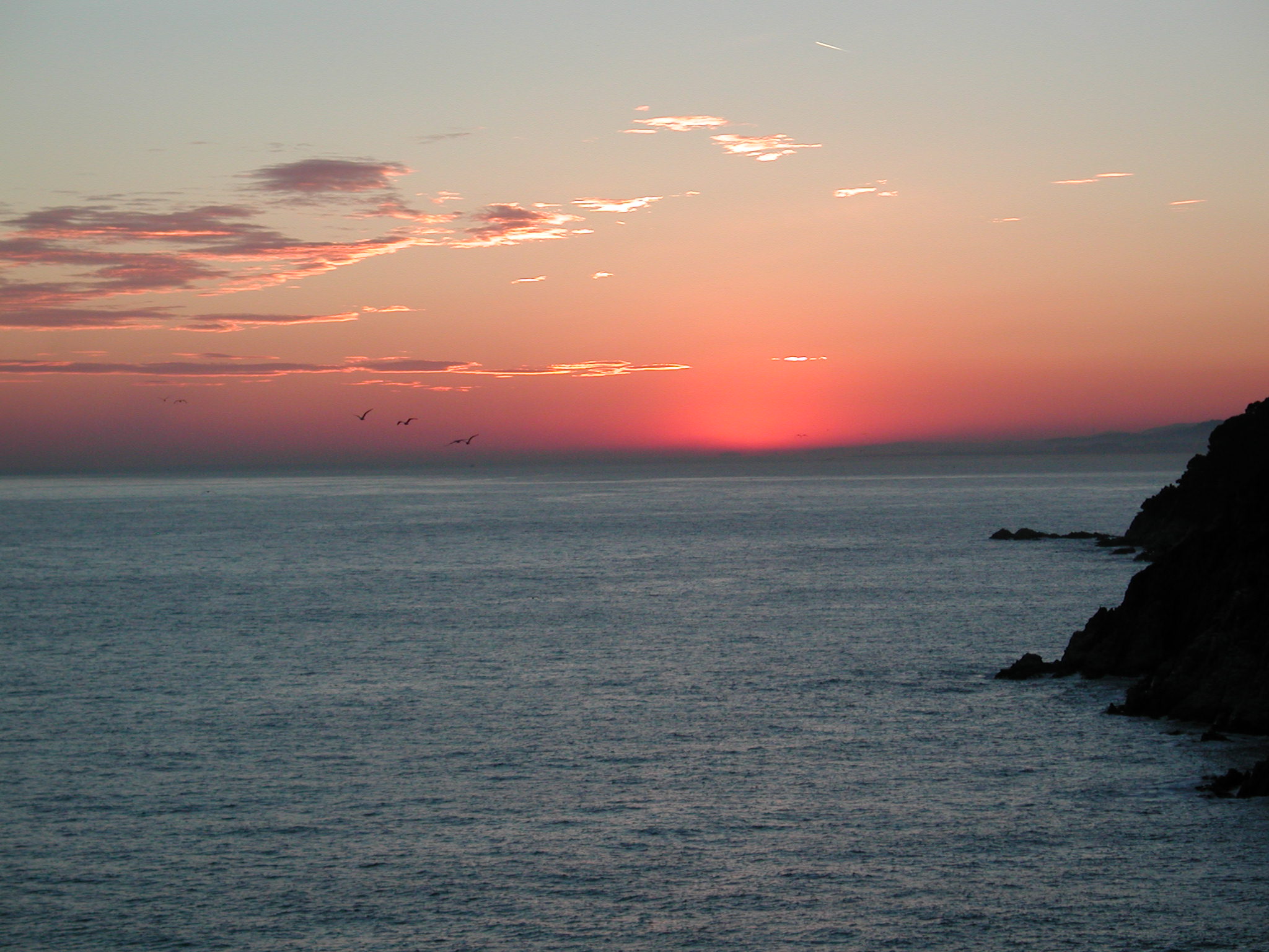 Fonds d'cran Nature Couchers et levers de Soleil SeaGull