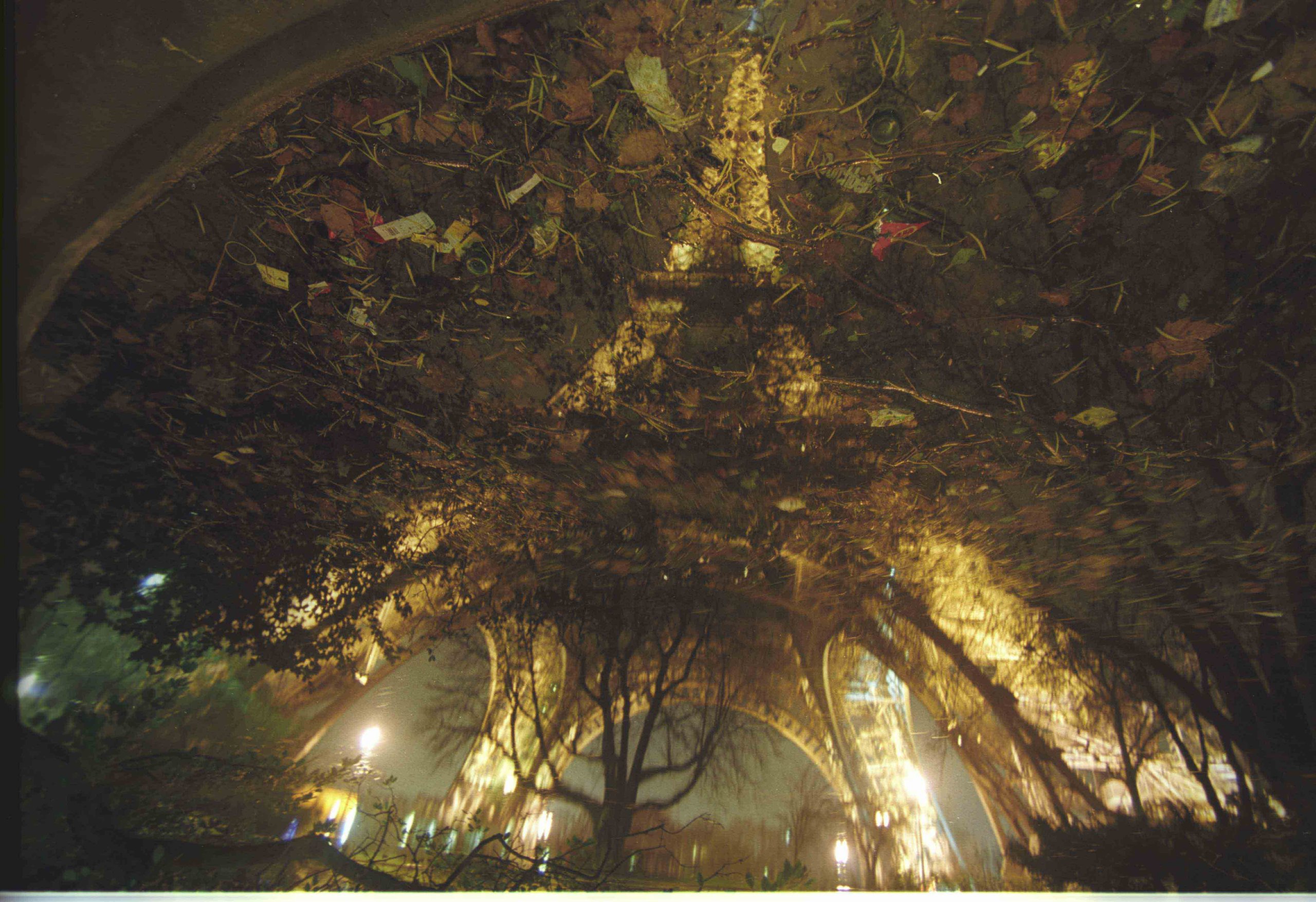 Fonds d'cran Abstrait - Art Subjectivit la tour Eiffel ds un nuage de feuilles