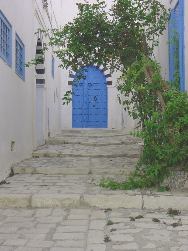 Fonds d'cran Voyages : Afrique Tunisie La ville des portes bleues !!