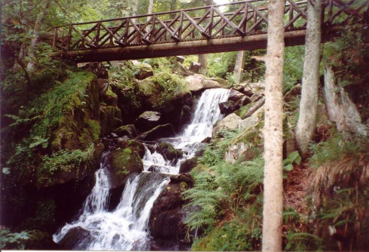 Fonds d'cran Nature Cascades - Chutes Cascade et pont en bois d'alsace