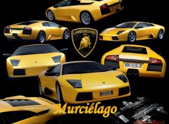 Wallpapers Cars Lamborghini Murcilago