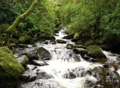 Fonds d'cran Nature Torc Waterfall (Irlande)