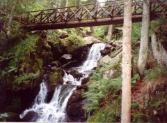 Fonds d'cran Nature Cascade et pont en bois d'alsace