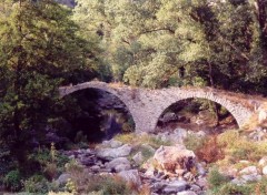 Fonds d'cran Constructions et architecture Vieux pont dans les pyrnes