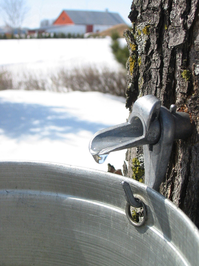 Wallpapers Nature Water - Reflection eau d'rable du qubec (canada)