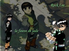 Fonds d'cran Manga le fauve de jade