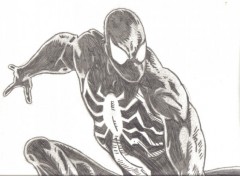 Wallpapers Art - Pencil black spidey.