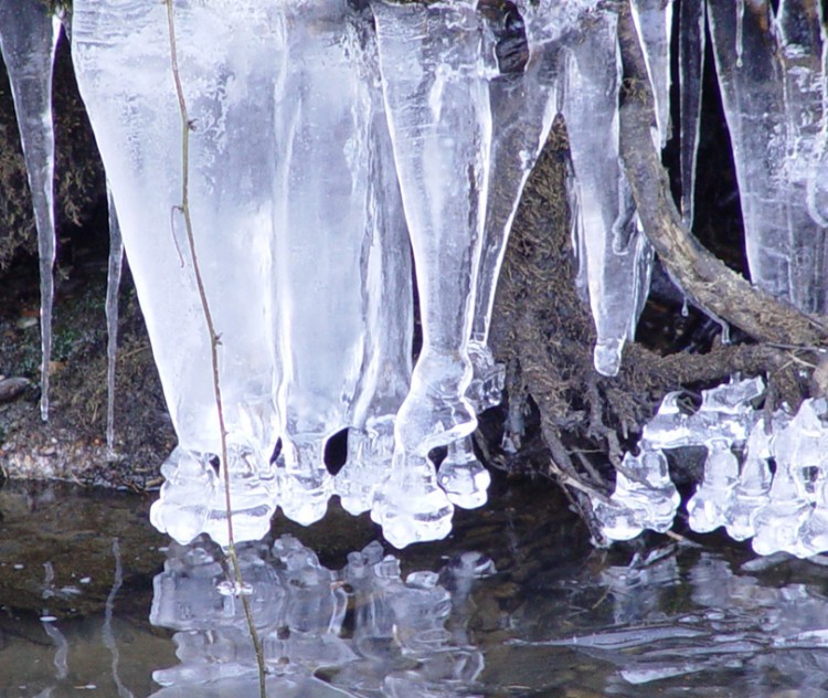 Wallpapers Nature Saisons - Winter Chandeliers givrs