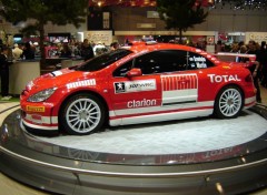 Wallpapers Cars 307 CC  WRC