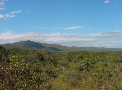 Fonds d'cran Voyages : Ocanie Parc de la Madeleine