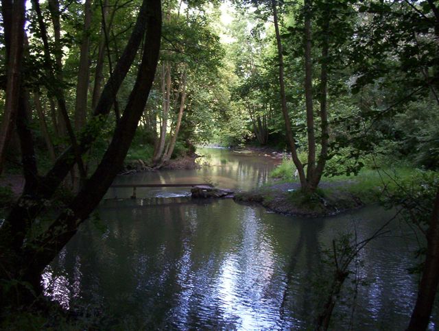 Wallpapers Nature Rivers - Torrents Rivire en sous-bois